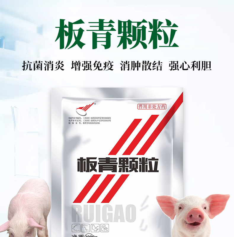 绿健兽药板青颗粒1000g猪用板蓝根大青叶水溶性强清热解毒退热感冒抗