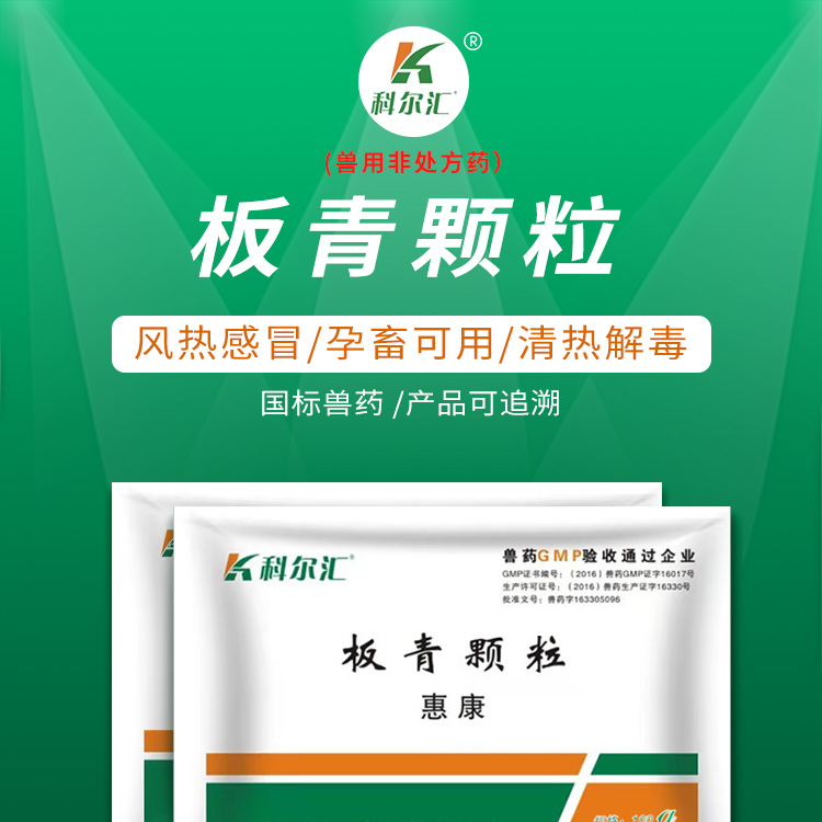 科尔汇板青颗粒100g袋板蓝根大青叶流感抗病毒清热解毒