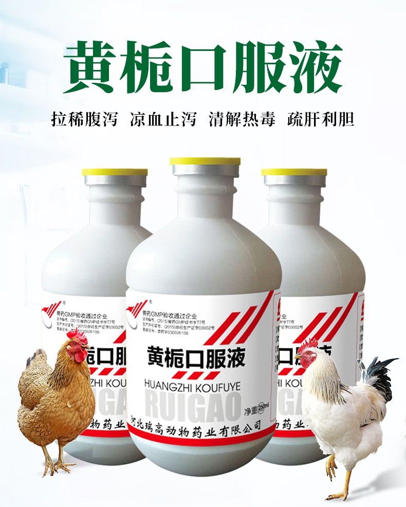 绿健兽药黄栀口服液250ml鸡鸭鹅兽用拉稀腹泻凉血止痢清热解毒