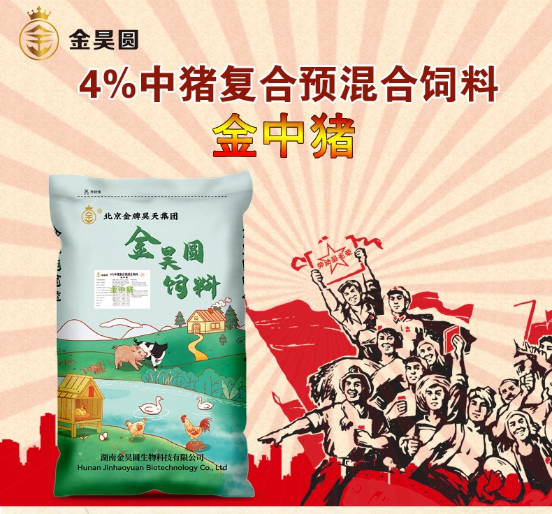 12104409208081.jpg 金中豬2_01.jpg