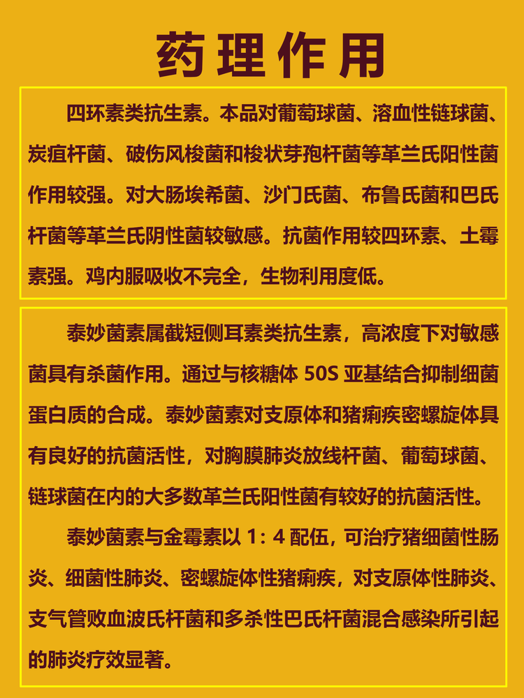 21095156339921.png 5_01.png