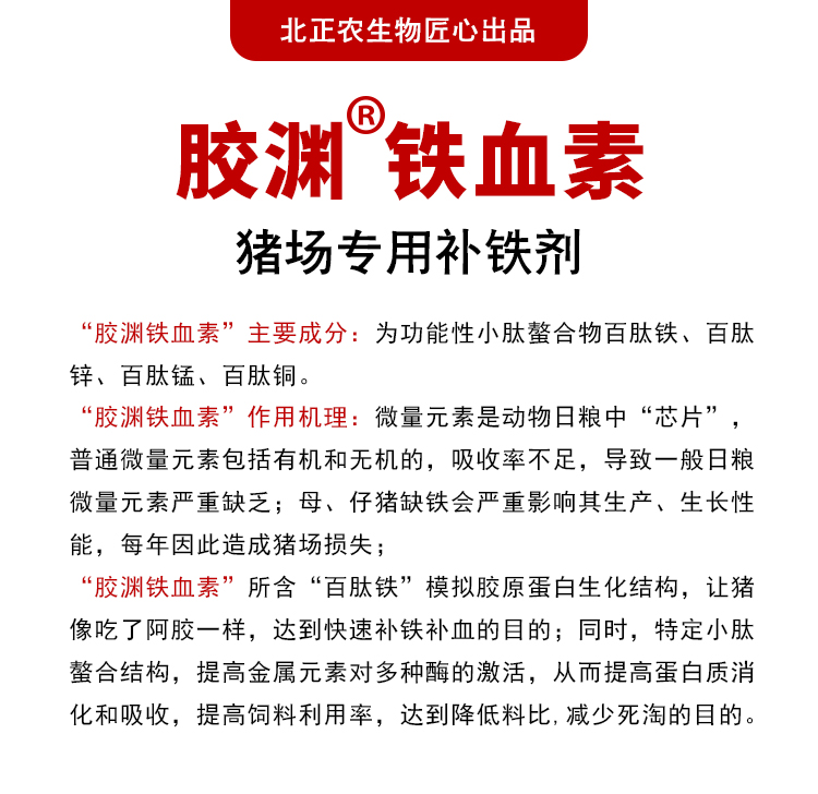 10112910522777.jpg 豬易商城詳情頁04.jpg