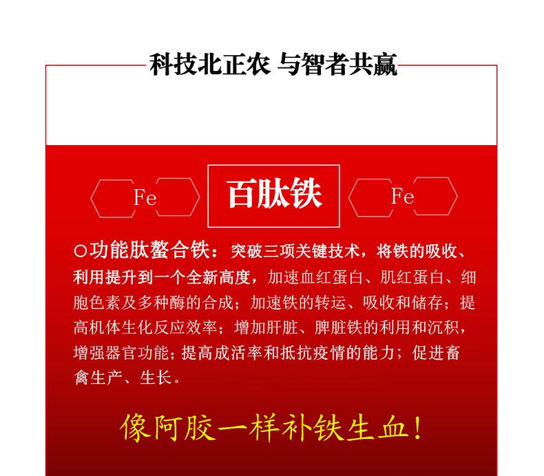 11090506345631.jpg 007_01.jpg