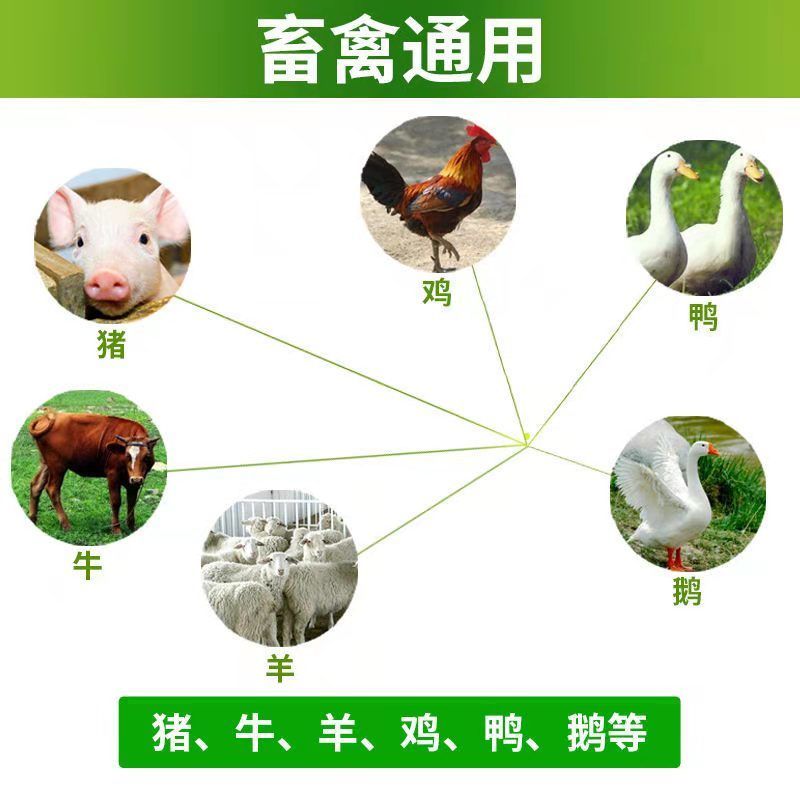 17194737547009.jpeg 黃芪多糖注射液詳情圖1.jpeg