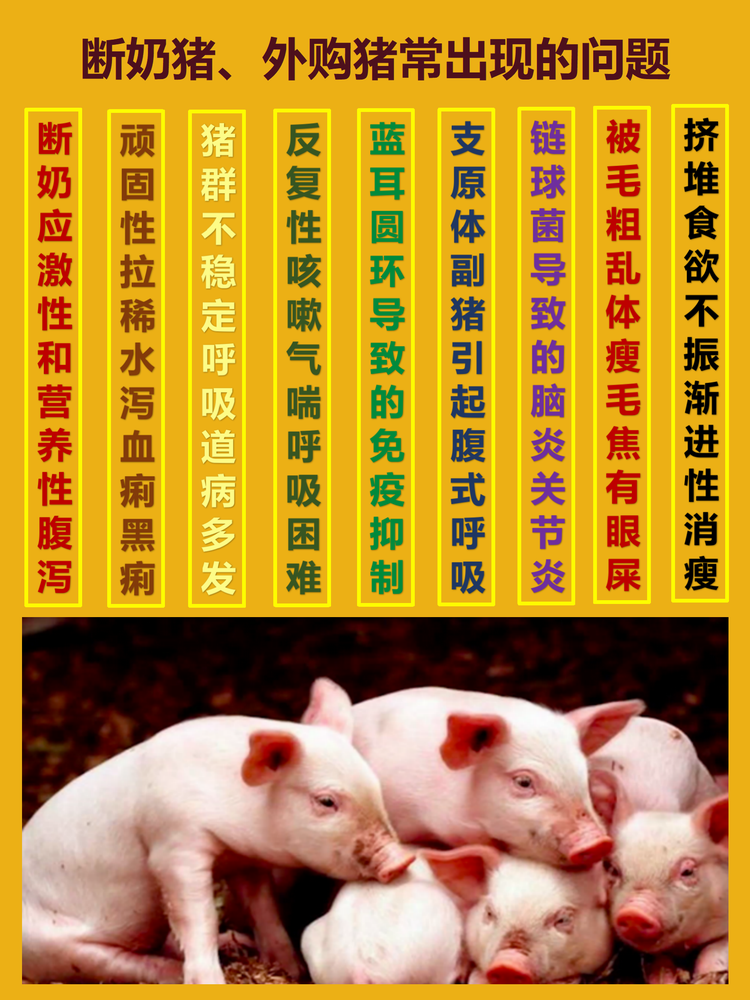 18163900411667.png 4_01.png