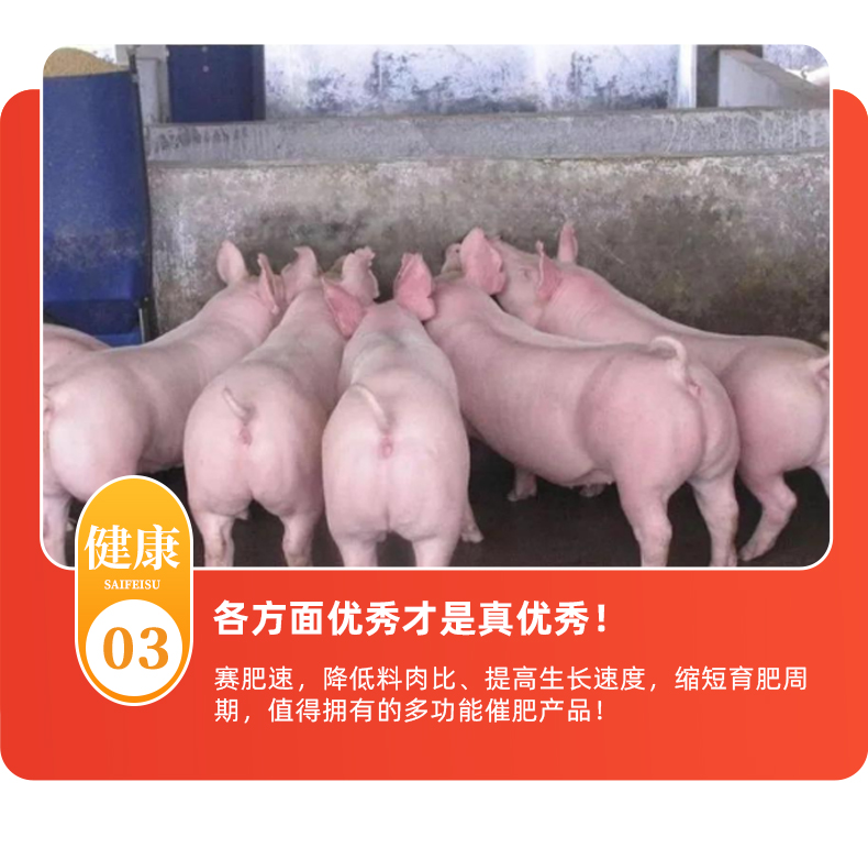 15111236126712.jpg 豬23.2_12.jpg