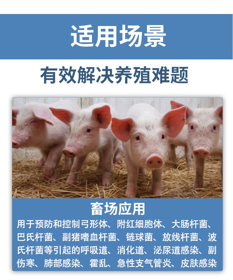 23171414190584.jpg 詳情_08.jpg