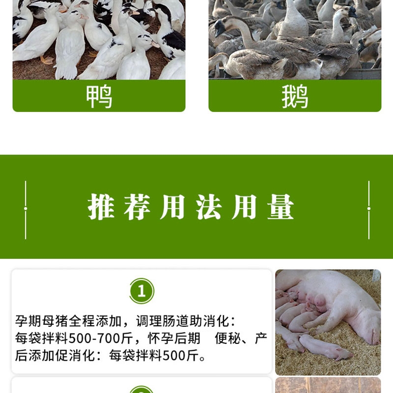 25164108260213.jpg 圖9_副本.jpg