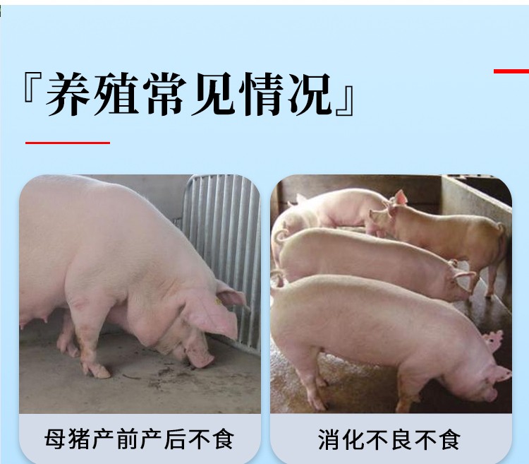 速食-詳情_(kāi)04 (1).jpg