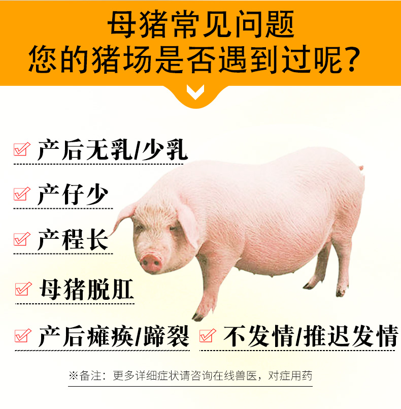 07101520912961.jpg 2_02-05.jpg