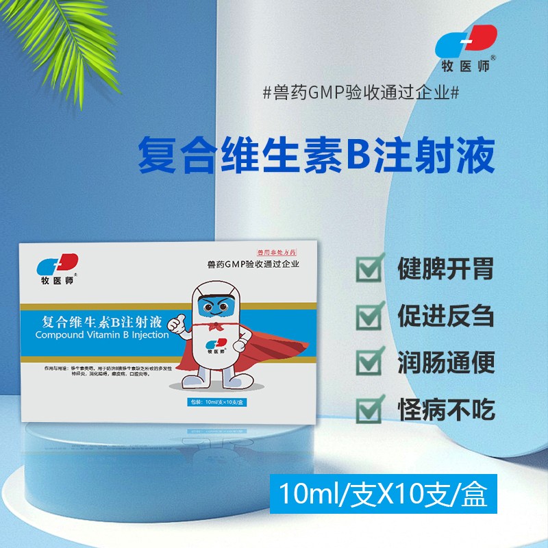 19165431732756.jpg 主圖1.jpg