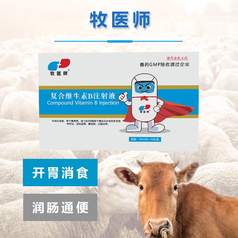 19165455426521.jpg 主圖3.jpg