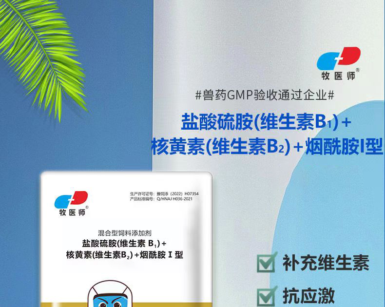 29092934638830.jpg 詳情1.jpg