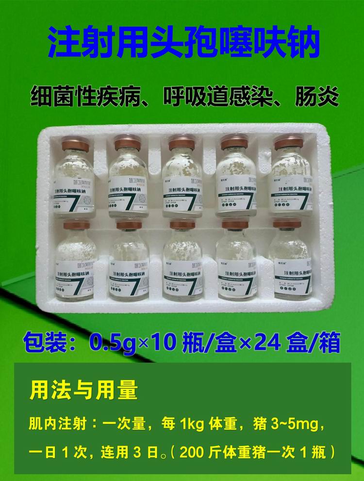 21144051158696.jpg 1 - 2.jpg