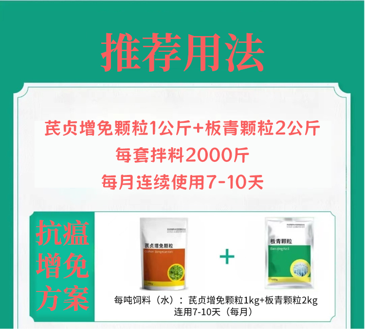 25153126669031.jpg 詳情.jpg