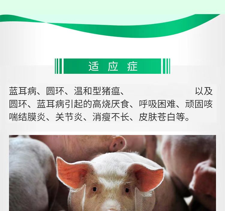 06113714943264.jpg a3252168a559422f2e8d1c6c40eeef6.jpg