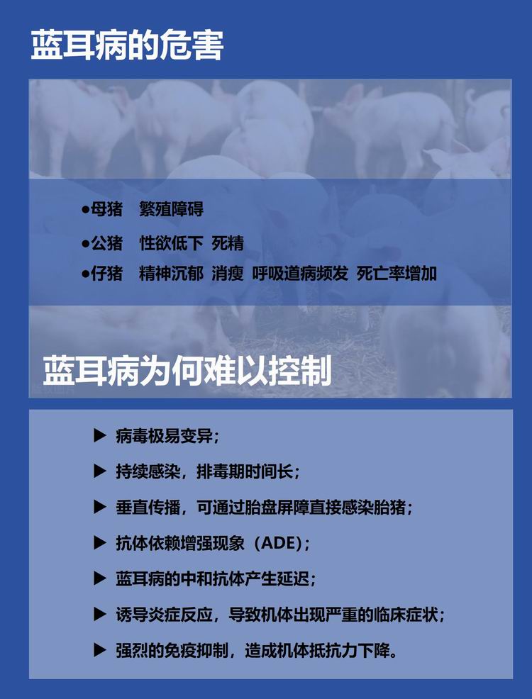 07144455876873.jpg 0_01.jpg