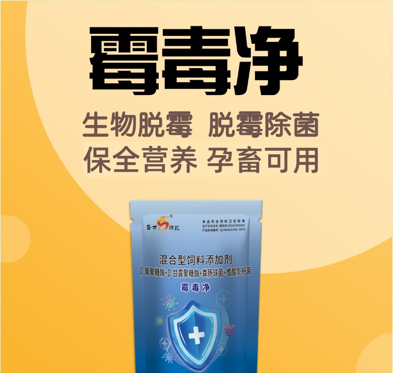 26092128819102.jpg 寵物貓咪售賣詳情頁_01.jpg