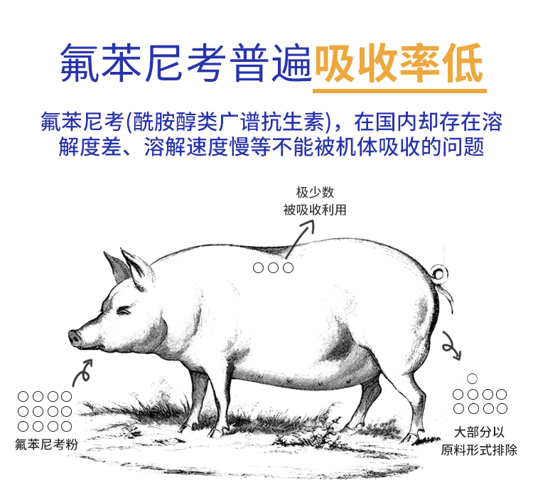 04153150984713.jpg 氟苯尼考30_03.jpg