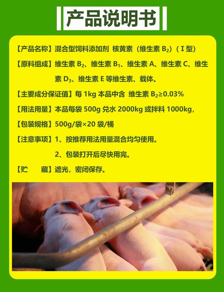 09090805355977.jpg 文字_03.jpg