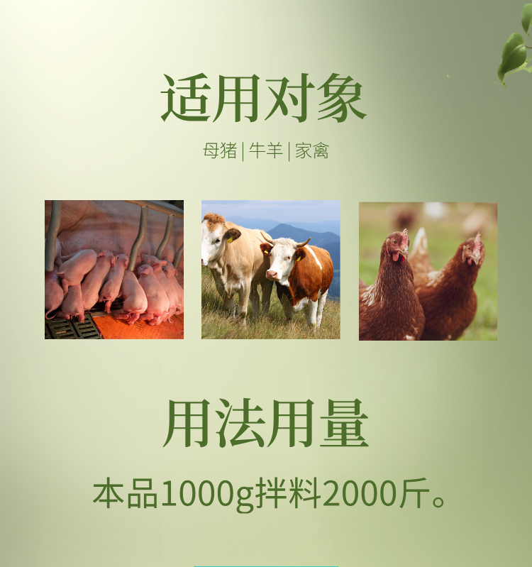 22132416685023.png 2.png