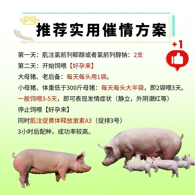 23170110331866.jpg 圖怪獸_橙11.jpg