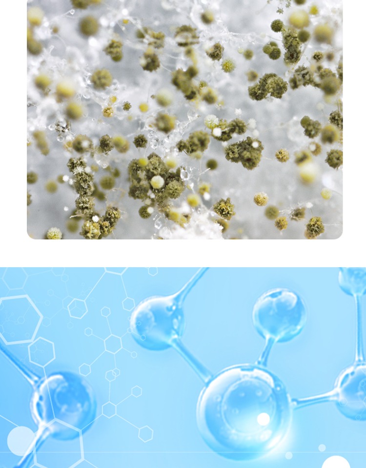 14162822969340.jpg 利普吸詳情頁3.jpg