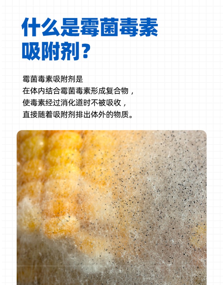 14162925941169.jpg 利普吸詳情頁6.jpg