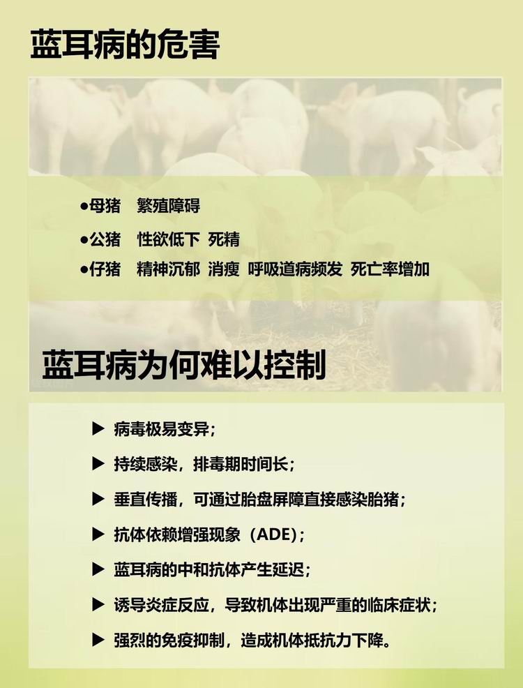 29122919621302.jpg 1_01.jpg