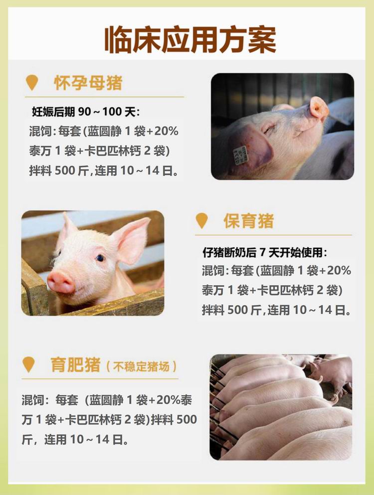 29122934115327.jpg 1_03.jpg