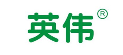 青岛英伟